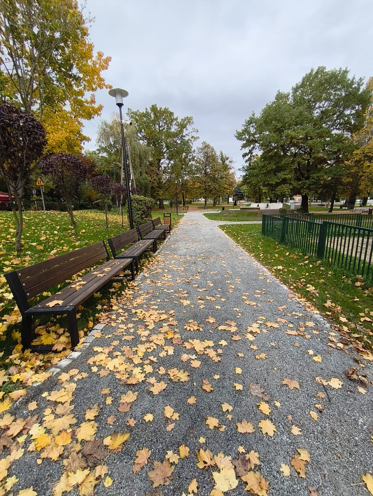 Alejka na skwerze z ławkami i latarnią