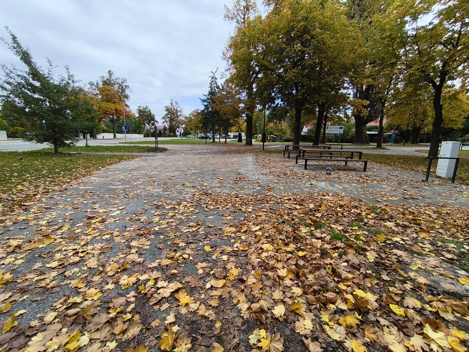 Aleja parkowa z ławkami